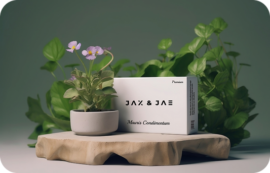 Modern Lifestyle Must-Haves: Elevate Your Everyday with Jax & Jae